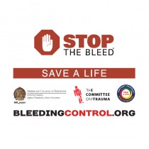 Curso Control de grandes hemorragias Stop the bleed
